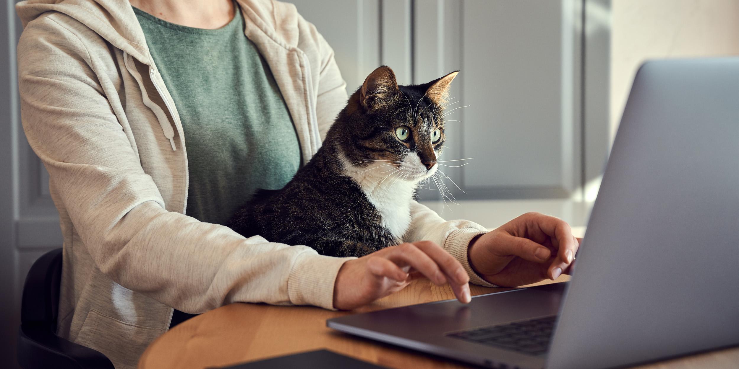 На Кипре стартует очередной этап программы грантов на покупку электрокаров