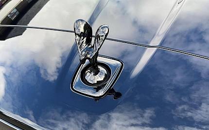 фото объект - фото 11