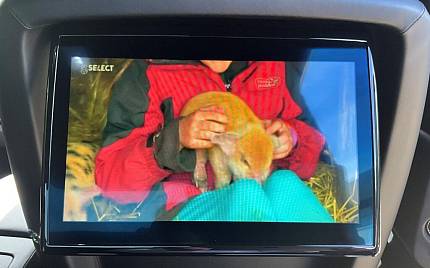 фото объект - photo 22