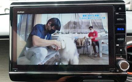 фото объект - фото 22