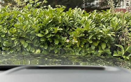 фото объект - photo 65