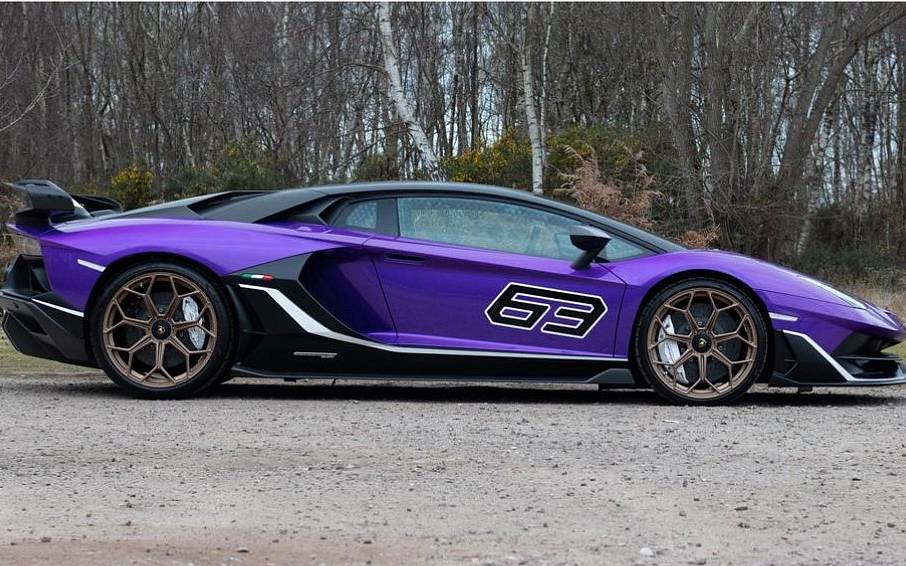 TOPING Telo Auto Esterno Invernale per Lamborghini Aventador SVJ Roadster, Telo  Copriauto da Antigrandine, Impermeabile Traspirante, con Striscia  Riflettente,D- Double Layer : : Auto e Moto