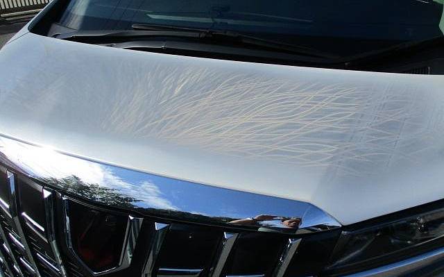 фото объект - photo 14